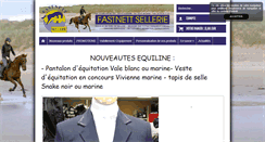 Desktop Screenshot of fastnett-sellerie.com